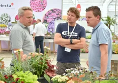 Joost Rabbering (left) of Selecta, busy talking with growers Tim and Bram.